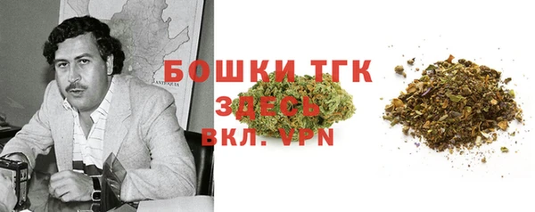 прущие грибы Баксан