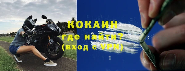 прущие грибы Баксан