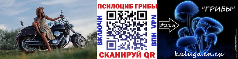 Псилоцибиновые грибы мухоморы  Чайковский 